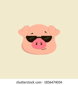 Pig with sun glasses. Vector illustration