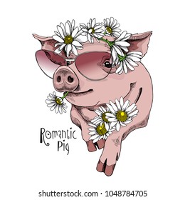 Pig in a sunglasses and in a flower Chamomile headband. Vector illustration.