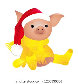 Pig in sweater on skates. 2019 Chinese New Year of the Pig. Christmas greeting card. Isolated on a white background. 