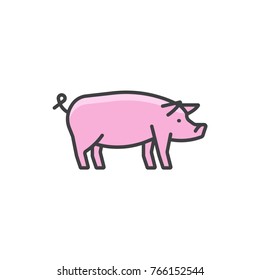 Pig, swine colored flat line icon.