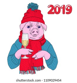 Pig symbol of 2019 new year drinks champagne and congratulates on the holiday. The pig is wearing a hat, vector illustration for greeting card.