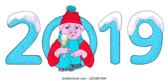 Pig symbol of 2019 new year drinks champagne and congratulates on the holiday. The pig is wearing a hat, vector illustration for greeting card.