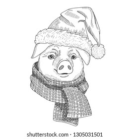 Pig symbol 2019 new year for coloring book,  in a hat and with  scarf. 