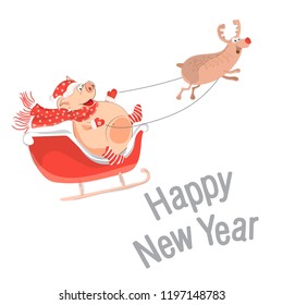 Pig is the symbol of Chinese 2019. Christmas deer lucky pig in a sled to celebrate the new year. Christmas card or banner cute piglets. Vector illustration of year of the yellow pig