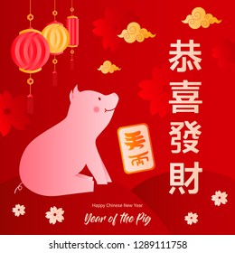 Pig as the symbol of the Chinese New Year in 2019 which brings luck and good fortune for your postcard, greeting card or invitation. Chinese characters mean Happy New Year. Vector Template.