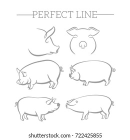 Pig symbol, logo, emblem. Contour Design.