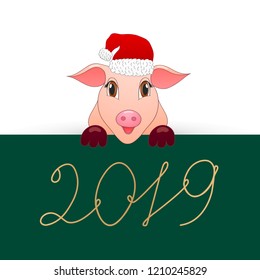 Pig is the symbol of the new 2019