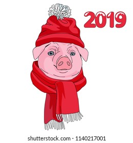 Pig is symbol of the new 2019 year, it dressed in a red hat and scarf.