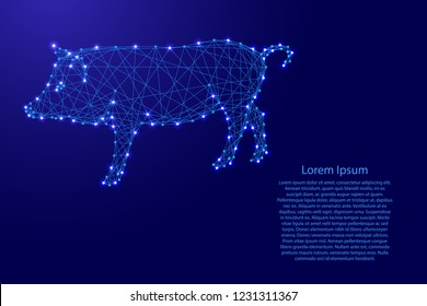 Pig is a symbol of the new year 2019 from futuristic polygonal blue lines and glowing stars for banner, poster, greeting card. Vector illustration.