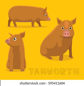 Pig Tamworth Cartoon Vector Illustration