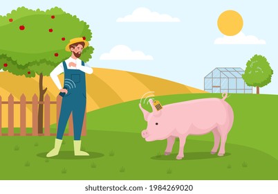 Pig tracking system, animal monitoring, data transfer in piglet rearing chip, future innovative technology in cattle breeding. Flat cartoon vector illustration concept design web banner.