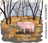 a pig truffles