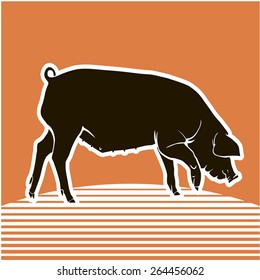 Pig. Vector. Black silhouette. Orange background.