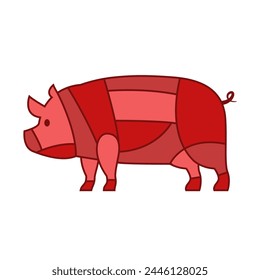 Pig vector. Collection Pork Meat cut. Loin part. Processed Agricultural Products. Guide shopping in supermarket.