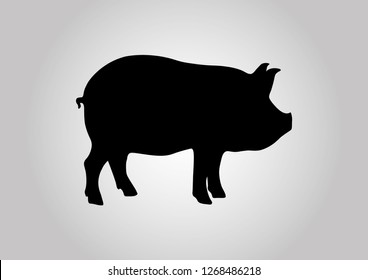 Pig Vector Design