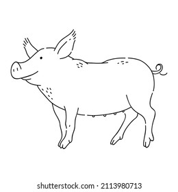 Pig vector doodle animal of Eastern astrological calendar black outline on white background.
