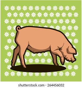Pig. Vector. Green background.