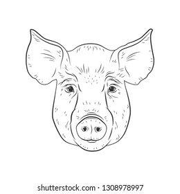 Pig vector head isolated on white background. Hog, pork, piglet, swine, boar. Farm or shop meat logo, icon, sign, emblem, symbol, stamp. Retro ink engraving style. Hand drawing illustration.