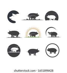 pig vector icon illustration design template