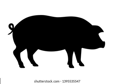 Pig vector icon isolated on white background