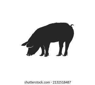 Pig vector icon. Pig vector silhouette icon