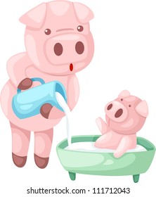 pig vector Illustraiton