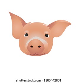 Pig. Vector illustration.