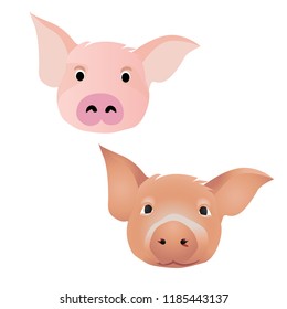  Pig. Vector illustration.