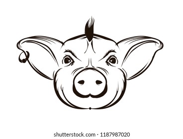 Pig vector illustration