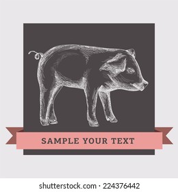 Pig. Vector illustration.