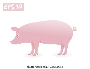 Pig vector illustration