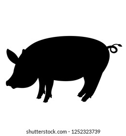 pig  vector illustration , black silhouette ,profile view