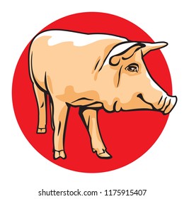 Pig vector illustration. Color drawing of single pork animal on red circle, graphic arts and cartoon design style. 