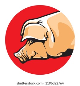 Pig vector illustration. Color drawing of single pork animal on red circle, graphic arts and cartoon design style. 