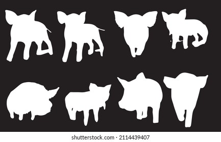 pig vector illustration design black and white collection