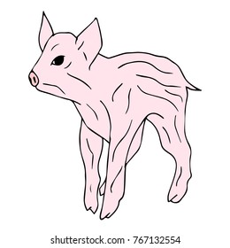 Pig vector illustration. Doodle style. Design, print, decor, textile, paper