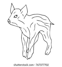 Pig vector illustration. Doodle style. Design, print, decor, textile, paper