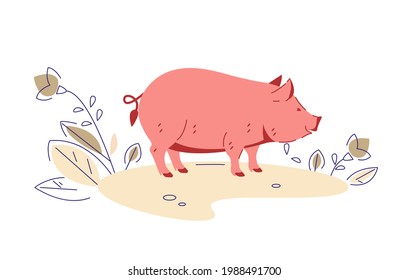 Pig. Vector illustration in flat cartoon style.