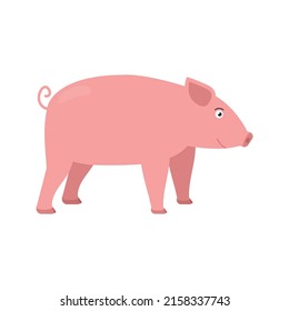 Pig vector illustration in flat style isolated on white background.