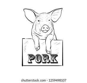 pig vector illustration icon