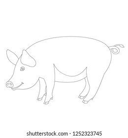 pig  vector illustration , lining draw ,profile view