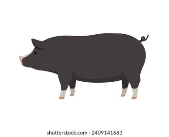 Pig vector illustration material black