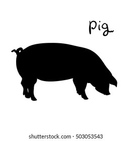 Pig of vector illustration. Silhouette farming animal. Pig on white background.