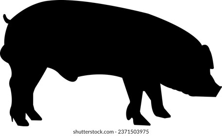 Schwein, Vektorgrafik einzeln auf Schwarz