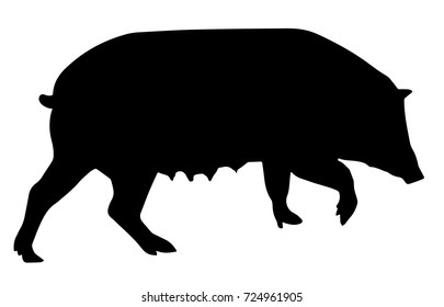 pig vector silhouette - animal high quality vector