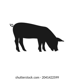 Pig vector silhouette. Farm animal silhouette