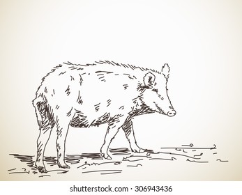 Ilustración dibujada por la mano de un esbozo del vector de cerco