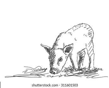 Pig-Vektorgrafik handgezeichnet