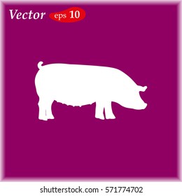 Pig vector web icon