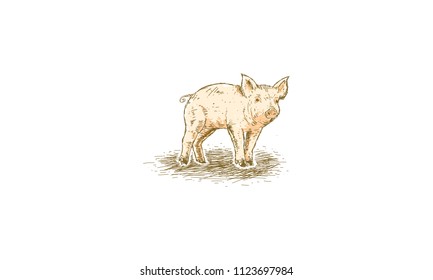 pig vintage rustic logo icon vector